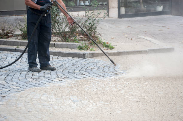 Best Roof Washing  in Florida, NY